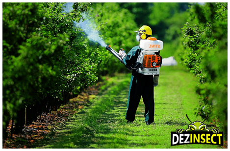 prevenirea contactului cu capusele