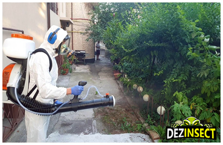 dezinsectie exterioara