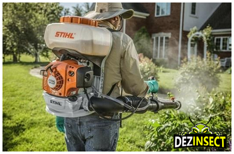 scapa de plosnite prin dezinsectie